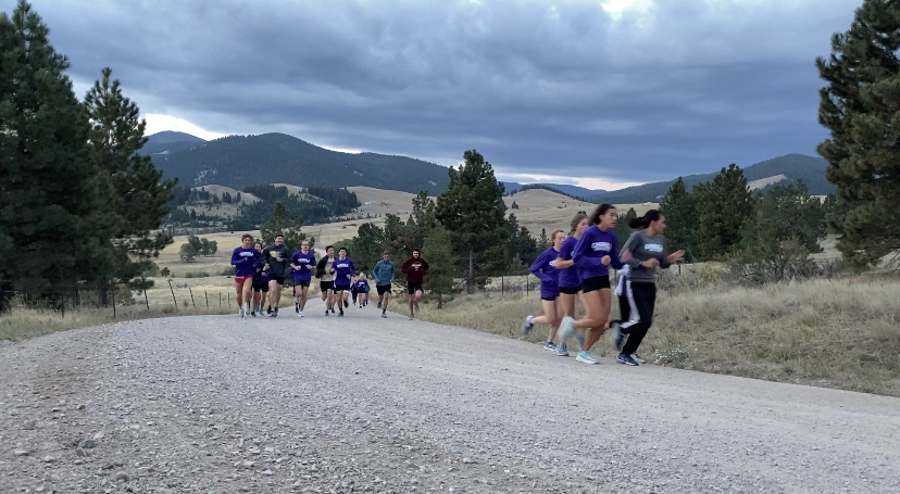 Carroll College cross country relying on depth in hot start