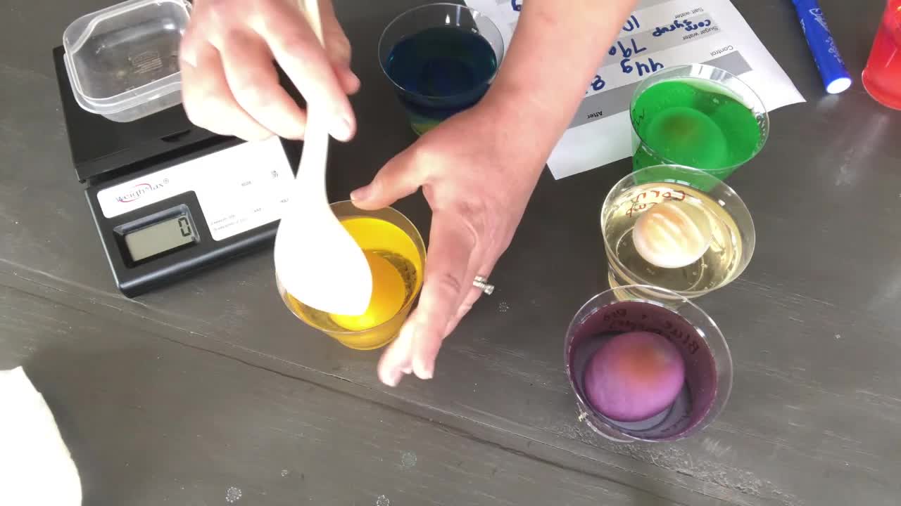 Science Sundays: How Osmosis Works in Our Cells