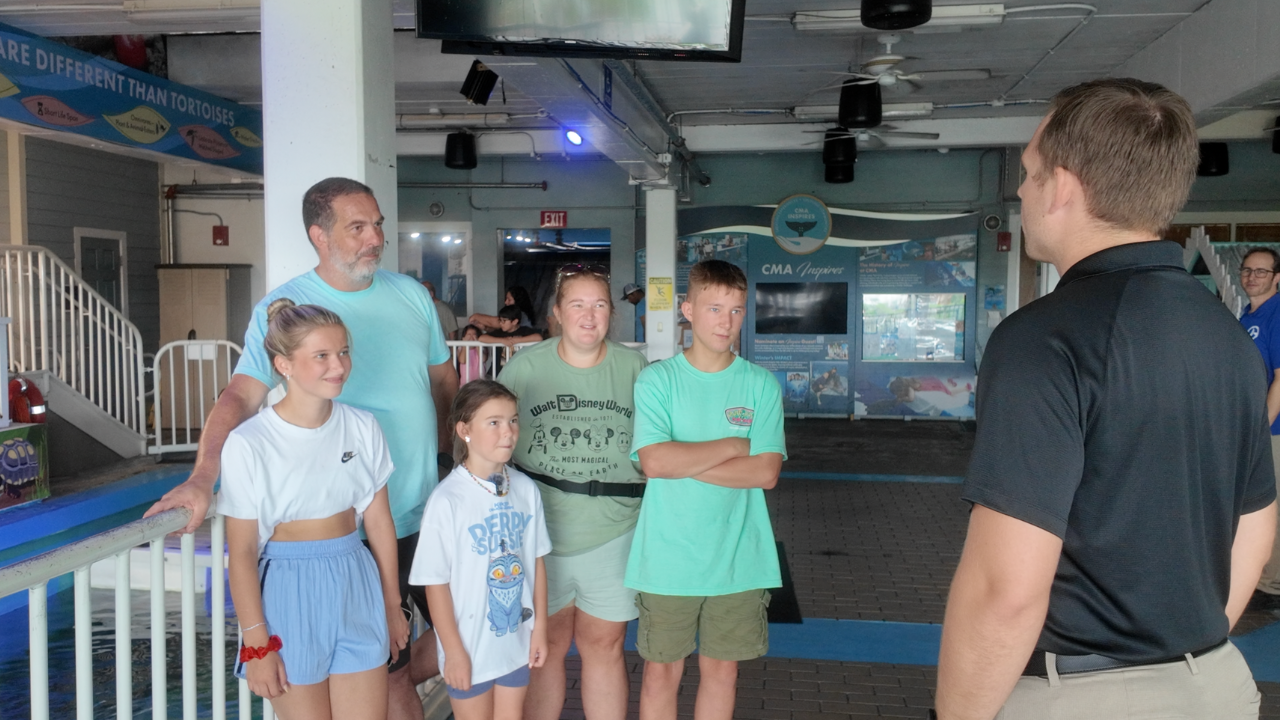 Shark Week at Clearwater Aquarium: Meet Thelma and Bruce, 2 nurse sharks