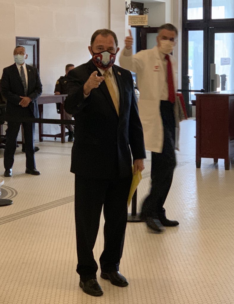 Governor mask