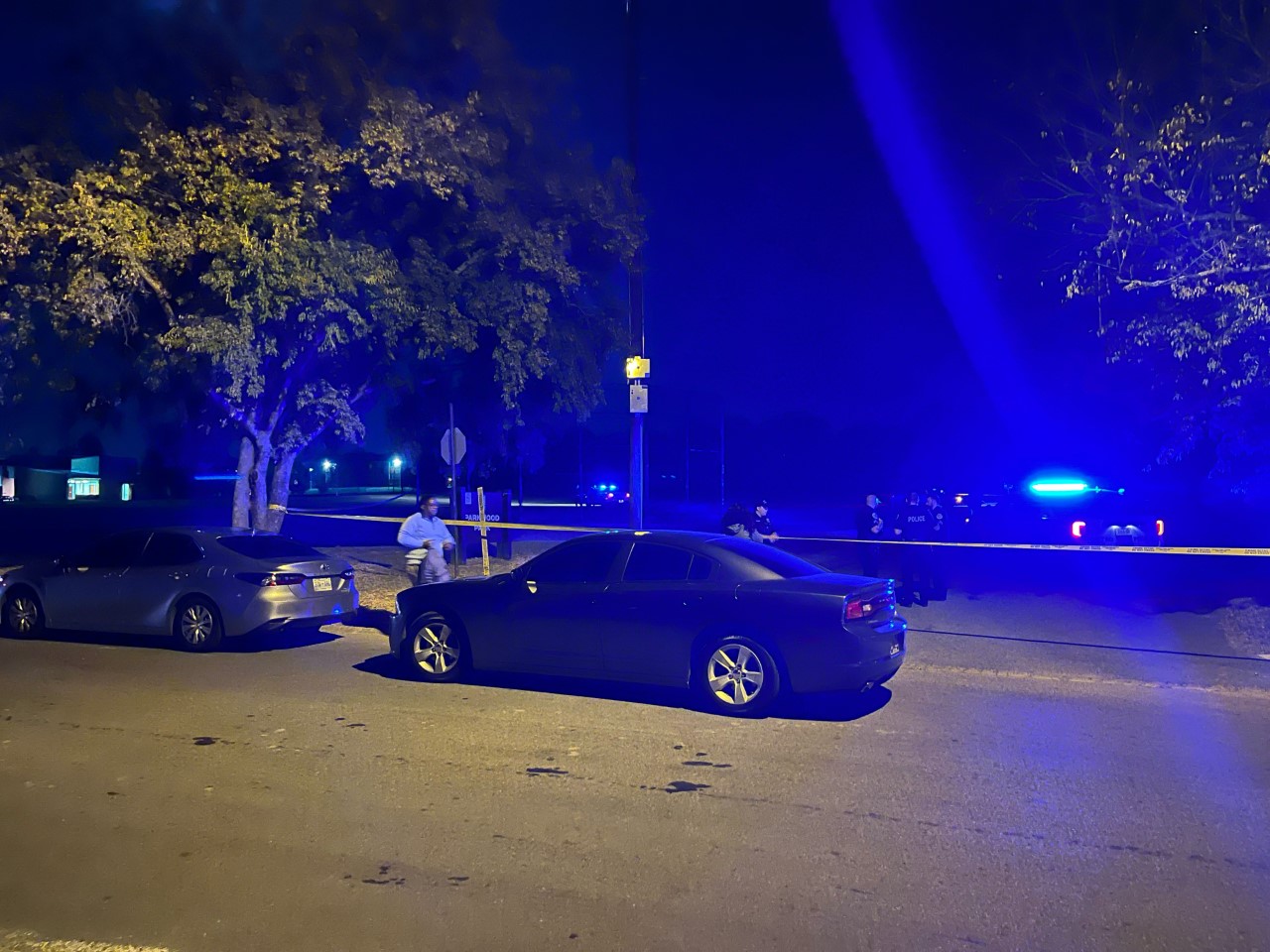 Scene at Parkwood Park
