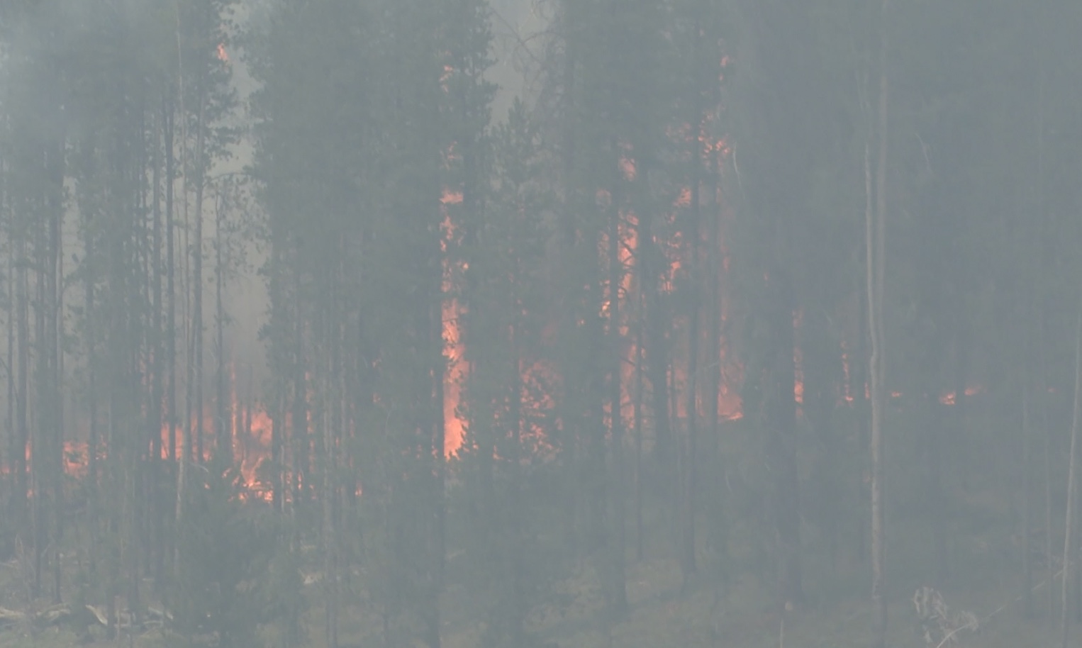 FIRE SNOW.jpg