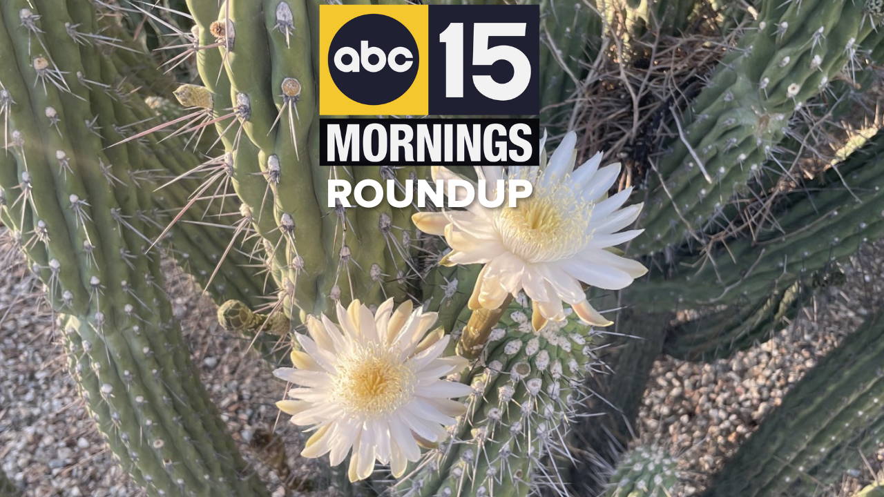 YOUR A.M. NEWS BRIEFING (3).png