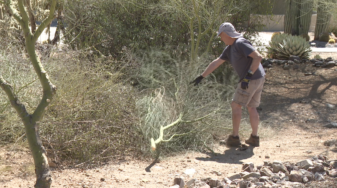 Green Valley community ramps up wildfire prevention efforts ahead of fire season
