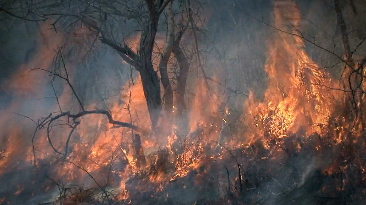 Wildfire (FILE)