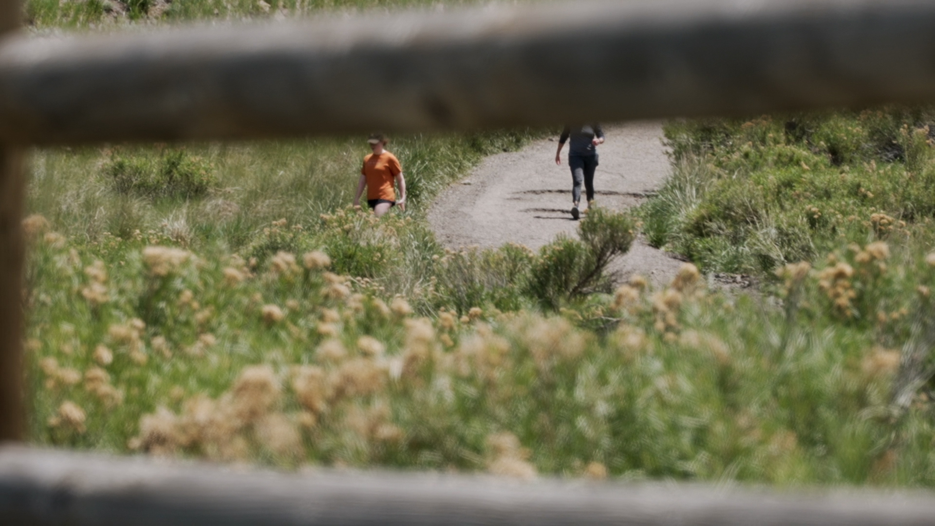 on the trail.jpg