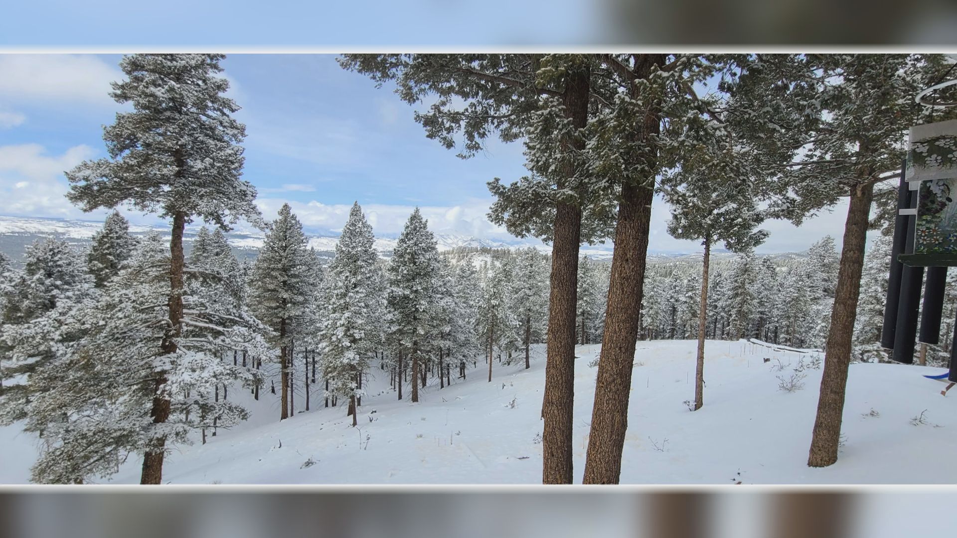 Woodland Park