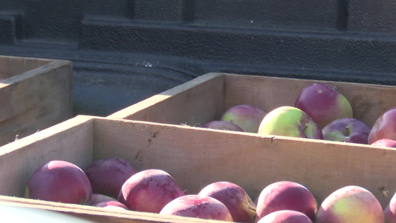 Montana AG Network: Orchard brings fresh fruit to schools