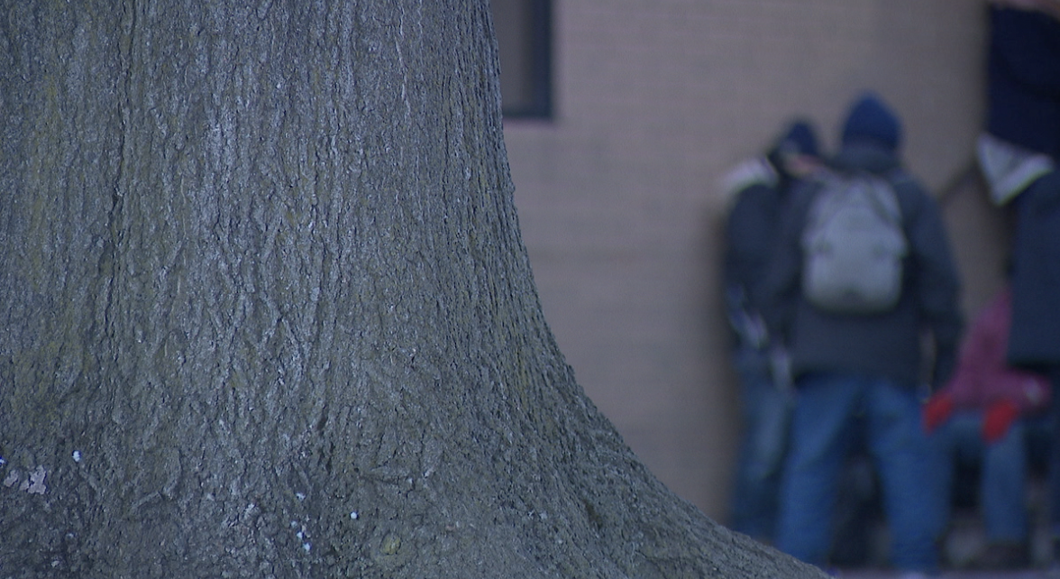 Screenshot 2026-04-06 at 9.19.52 PM.png