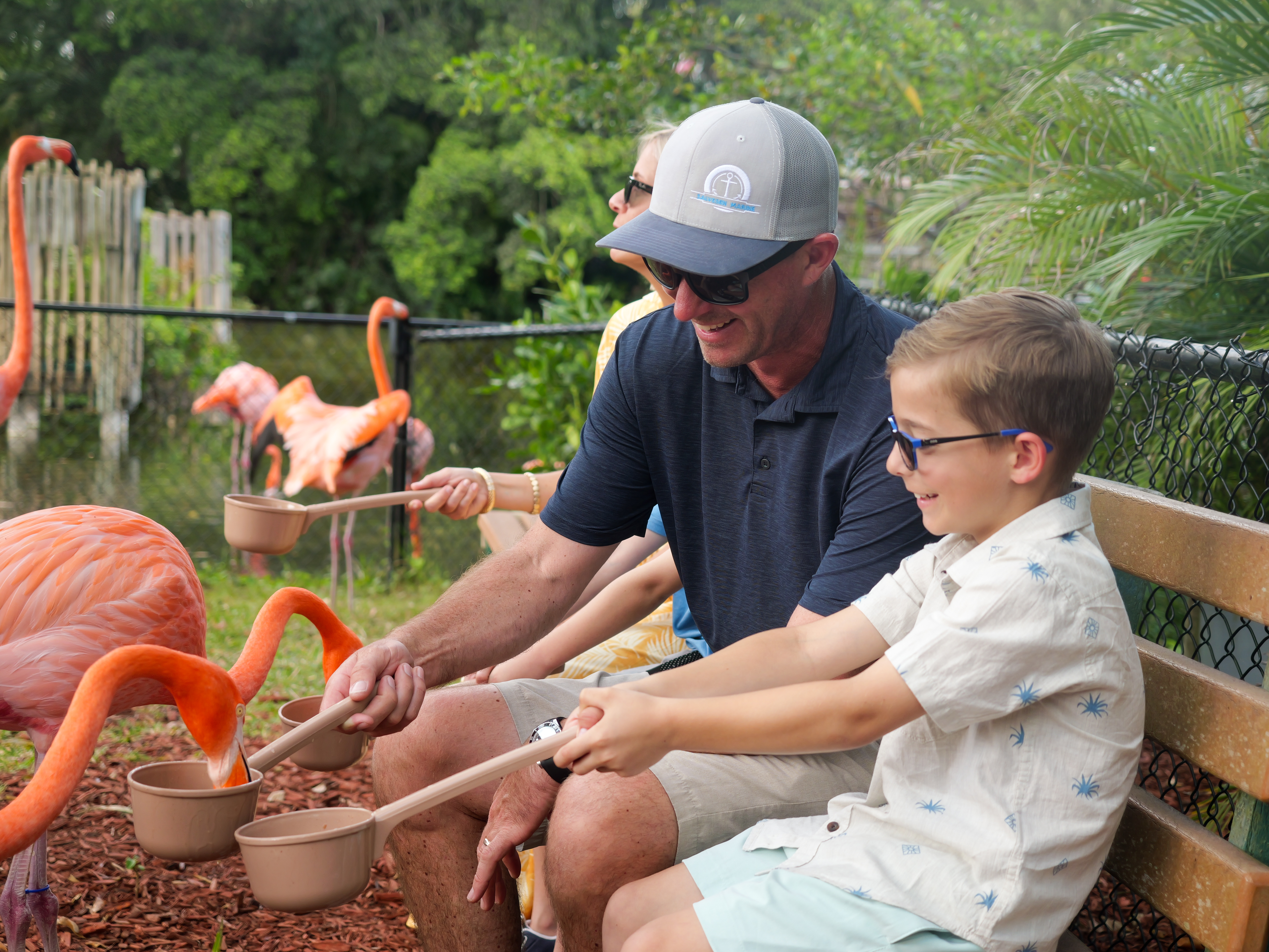 Lion Country Safari flamingo feeding.JPG