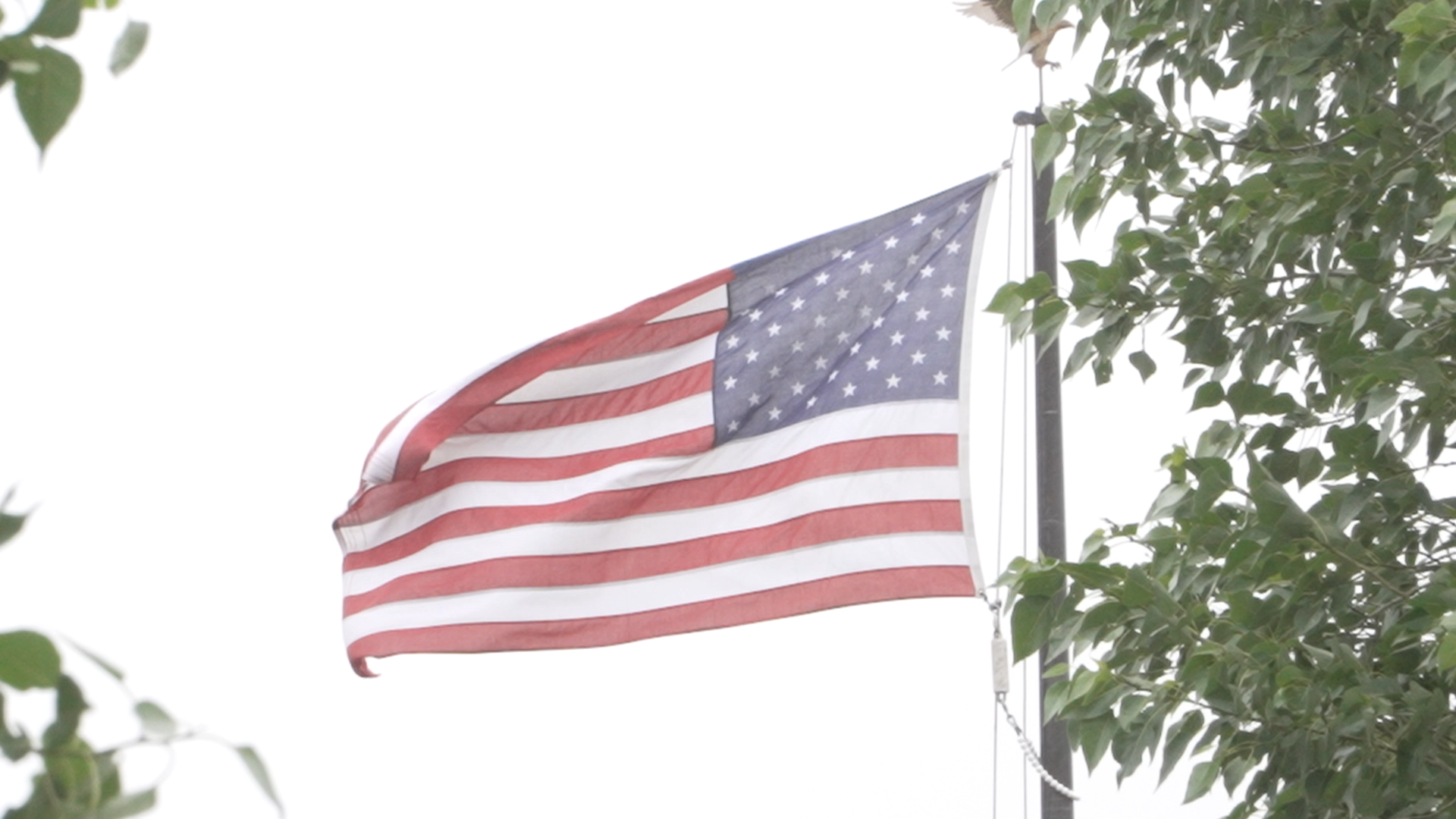 FLAG ETIQUETTE.png