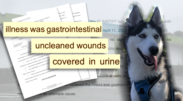 dog allegedly injured at Ohana Pet Resort 02052026.png