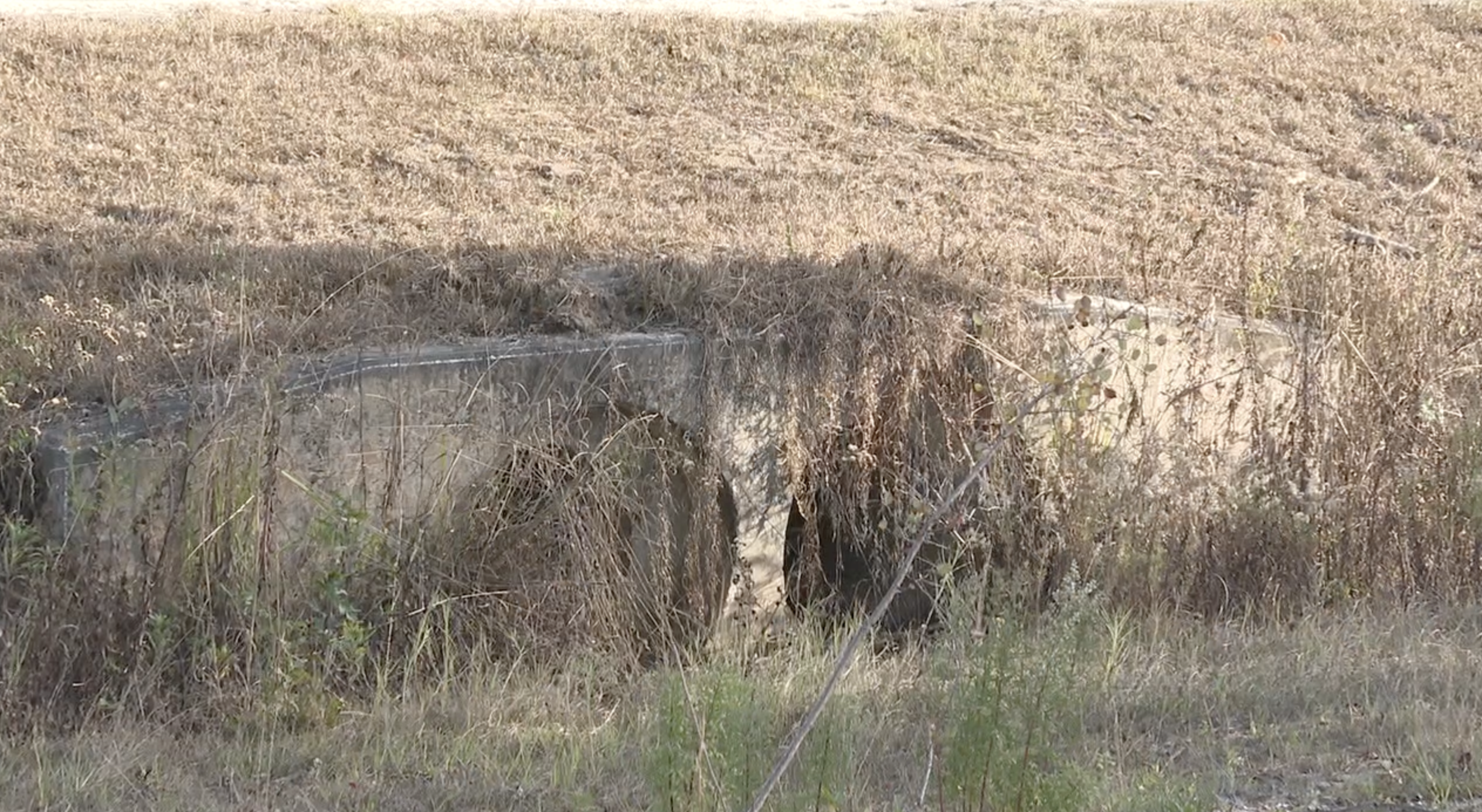 Drought conditions across the area