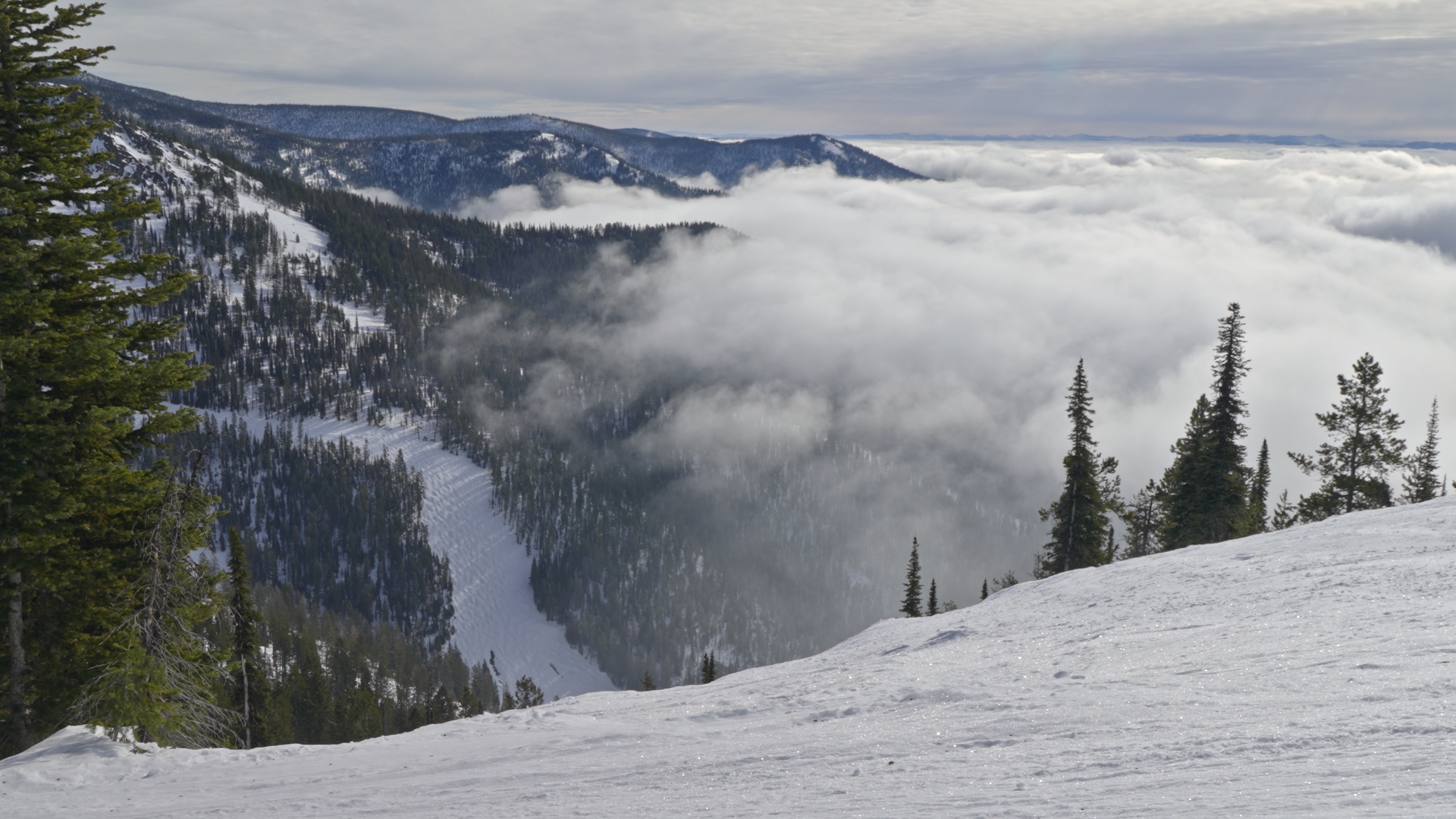 View of Snowbowl off of Grizzly lift 