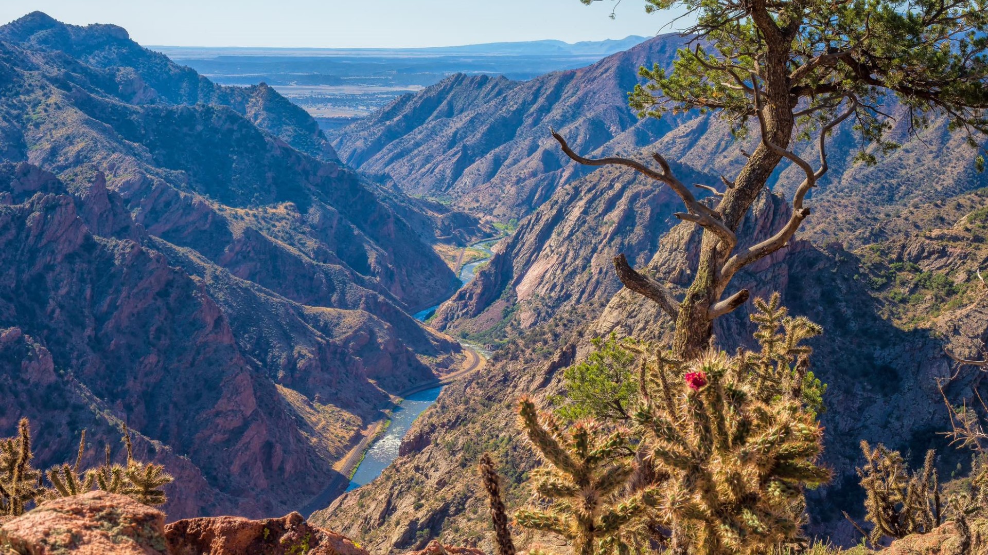Royal Gorge