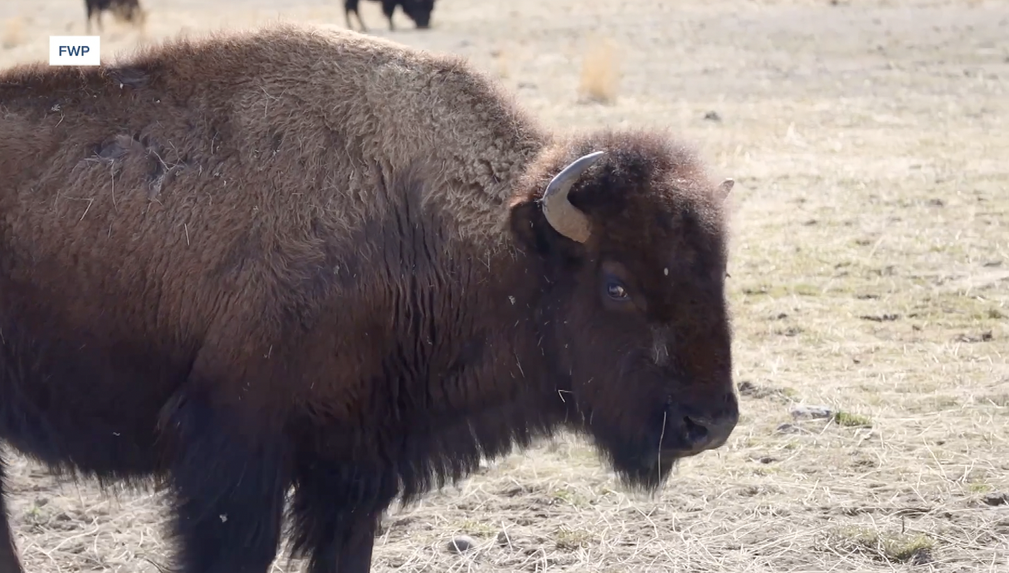 Screen Shot 2024-06-26 at 3.46.16 PM.png