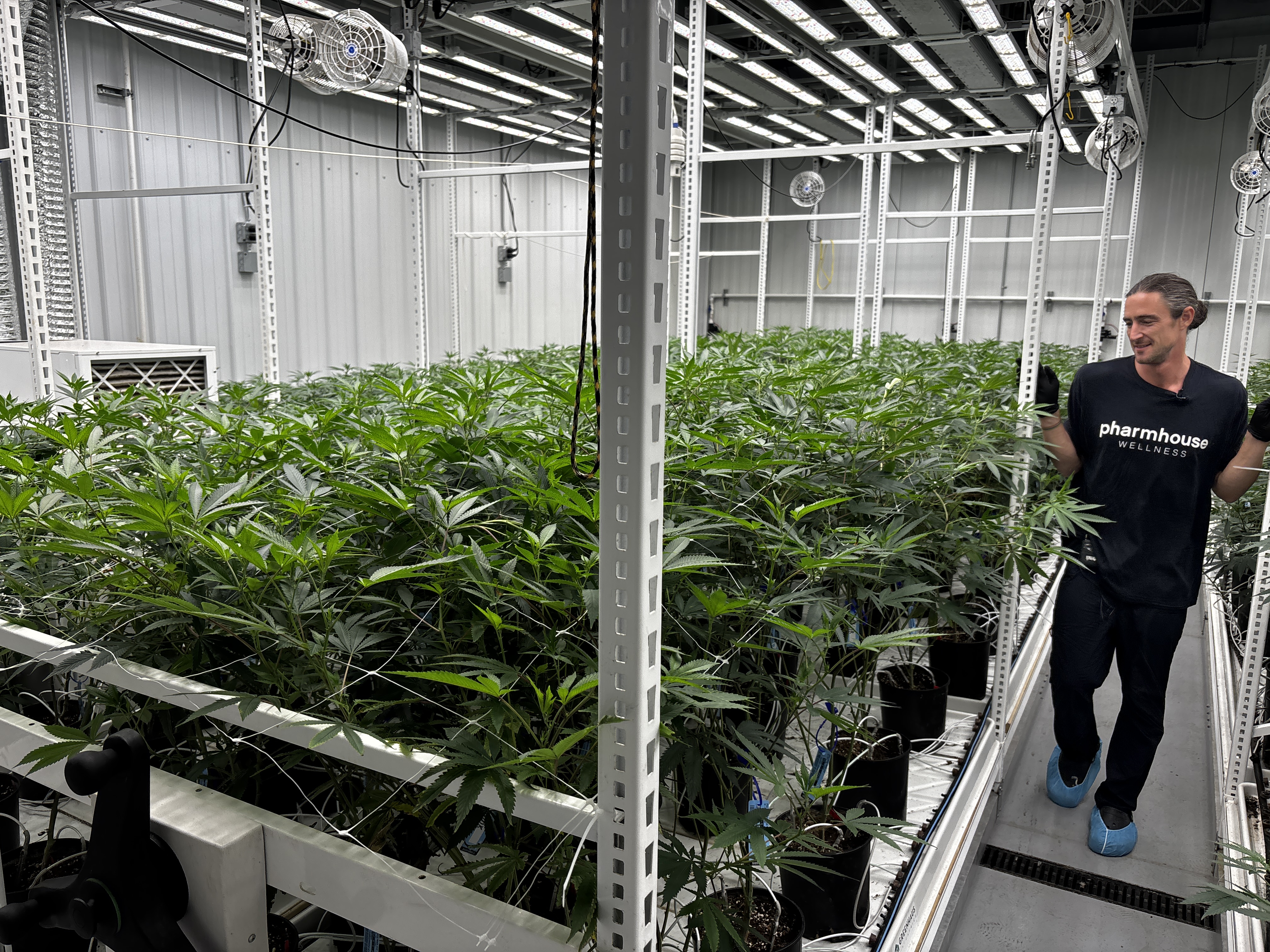 Pharmhouse Wellness Grow