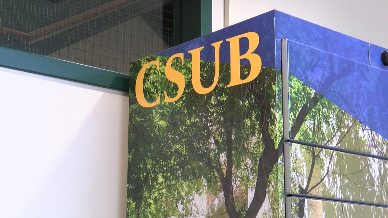 CSUB (FILE)