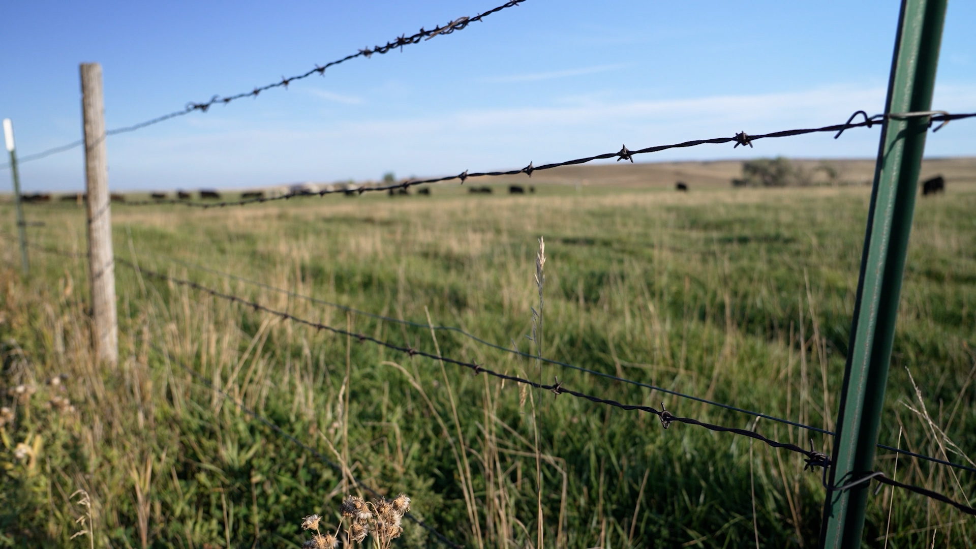 MT Department of Agriculture 2026 focus