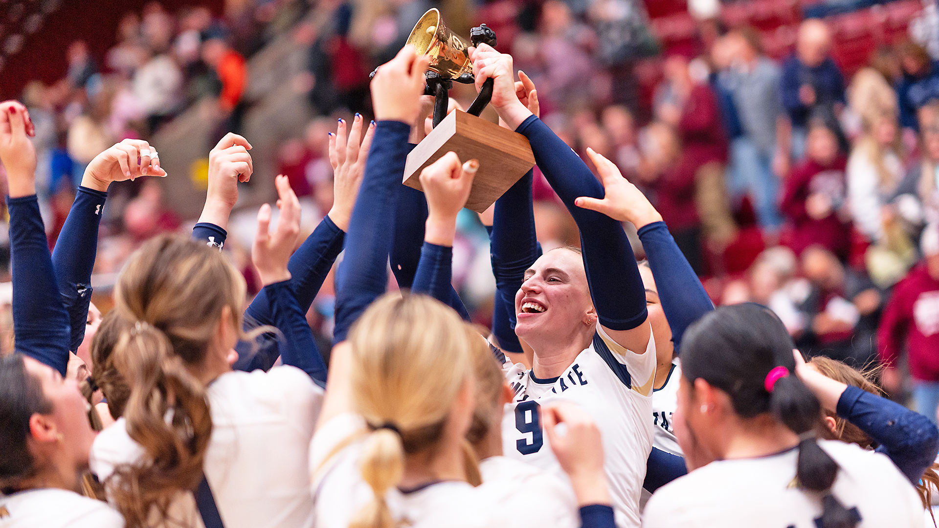 Montana State volleyball