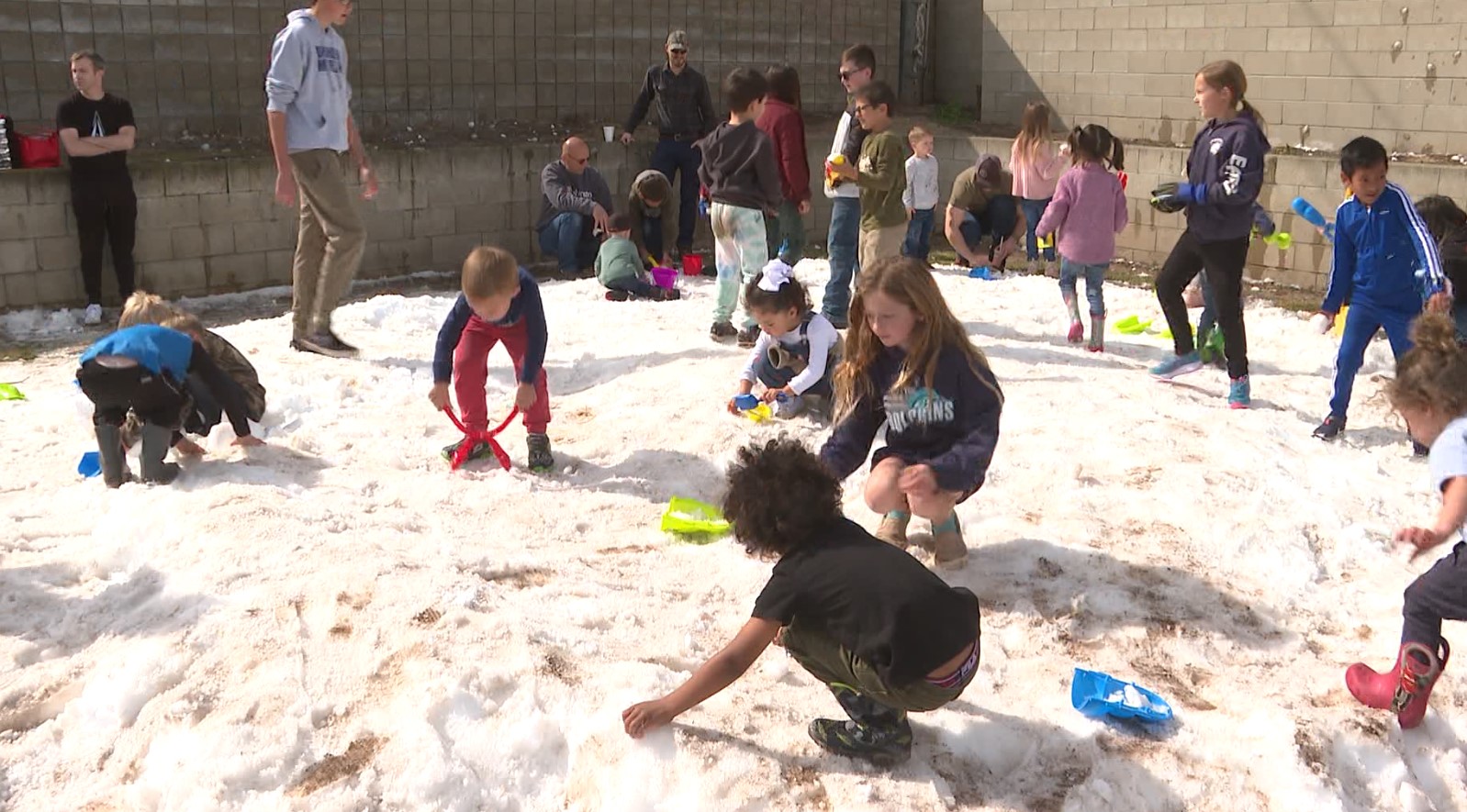 SNOW DAY.jpg