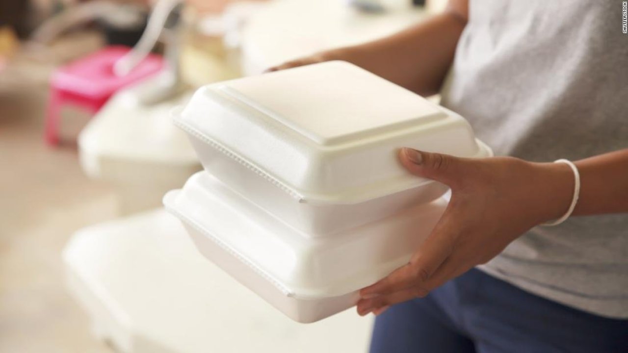 download (1).jpeg
