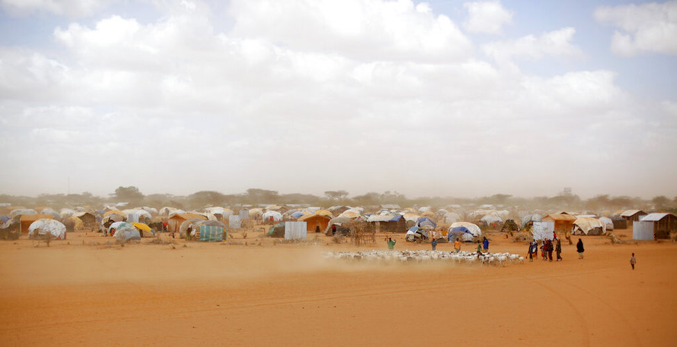 World Bank Climate Migration