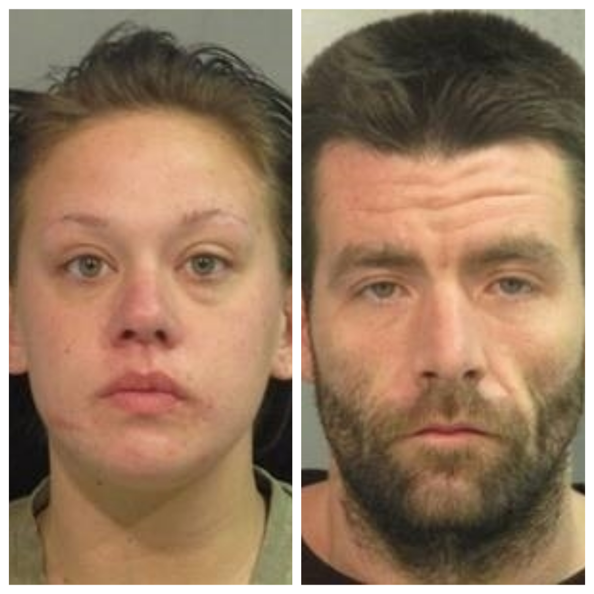 Brinlee Denison & Nicholas Johnson mugshots