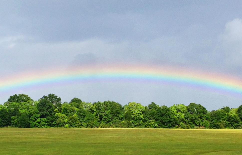 rainbow.jpg