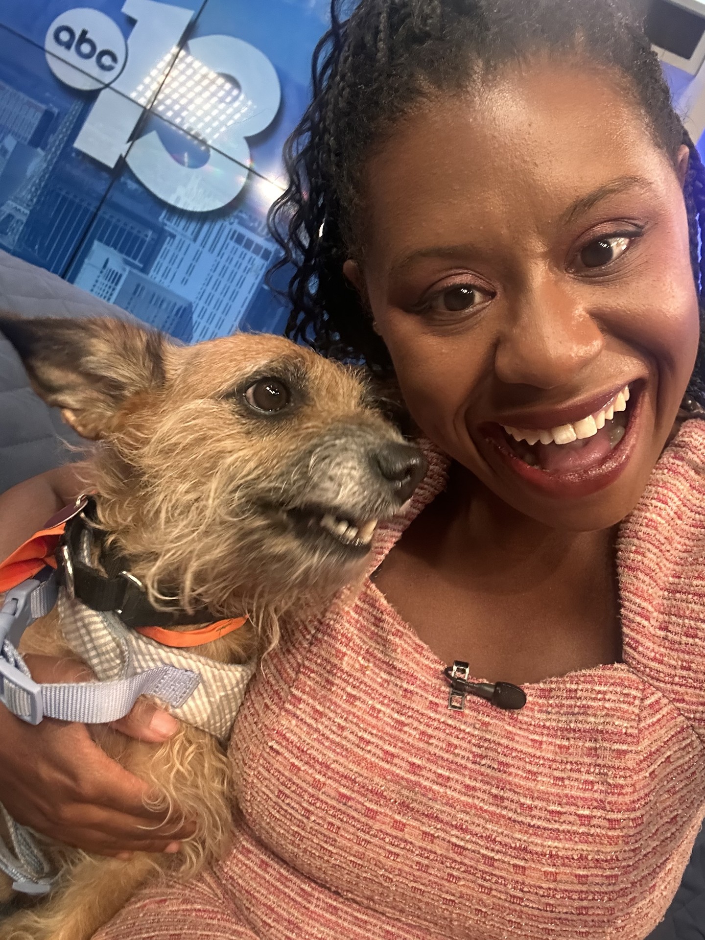 Mascota de la semana: ¡Conoce a Marlo!