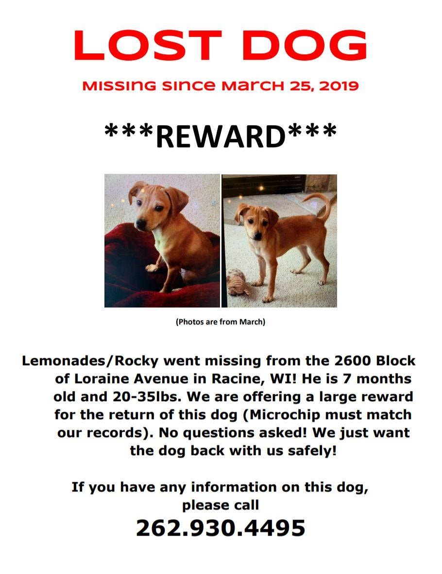 Reward Poster.jpg