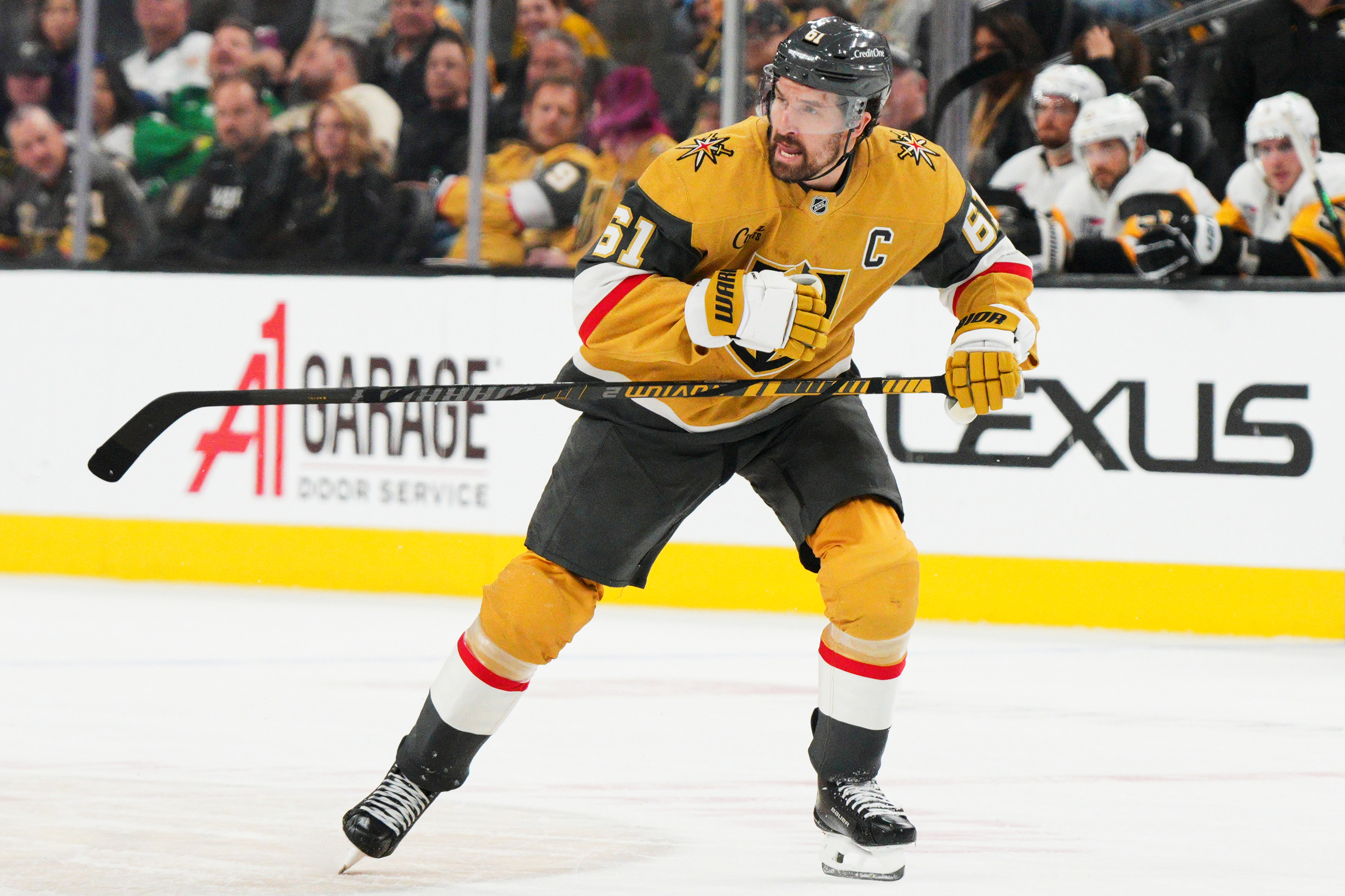 Golden Knights Stone Hockey