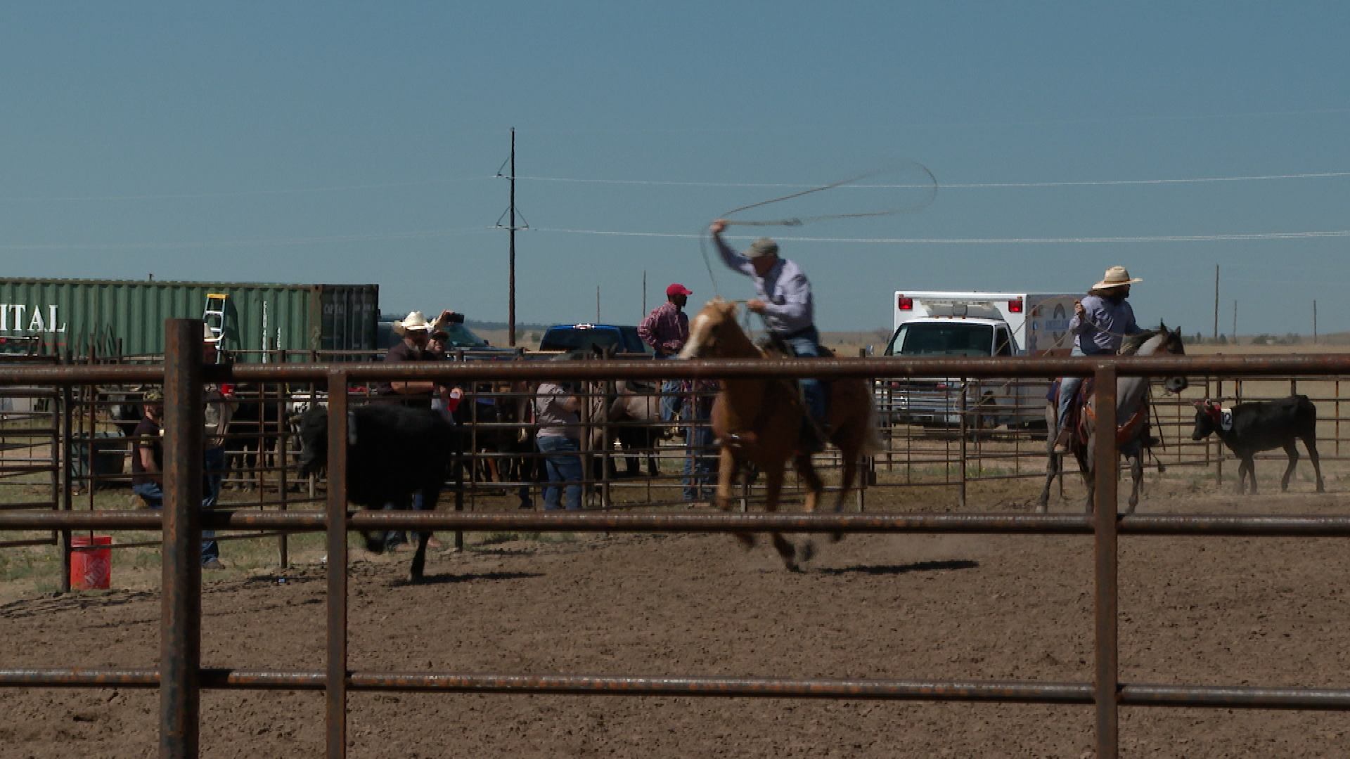 A veteran cowboy hopes to rope a steer