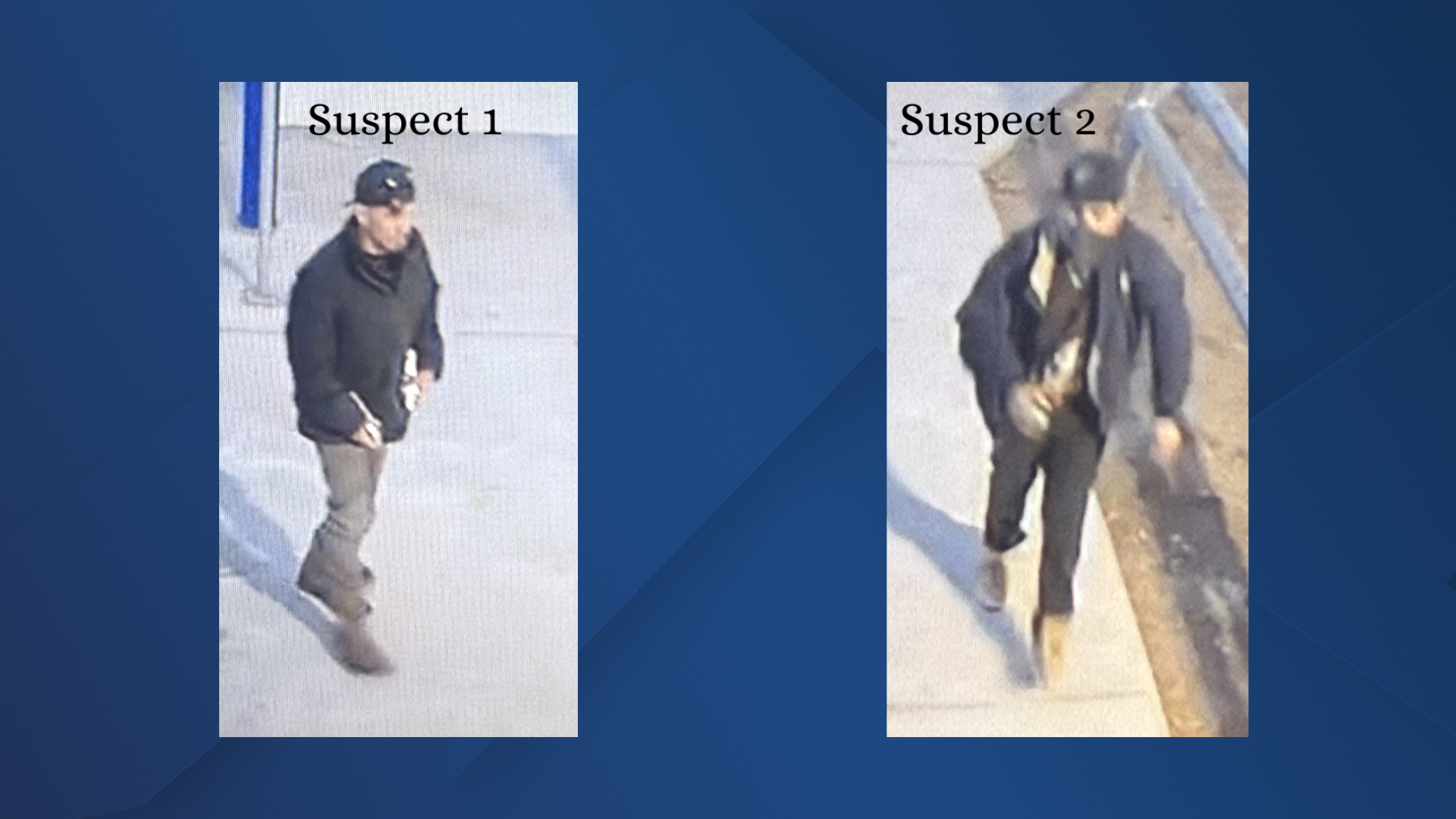 Criminal Mischief Suspects