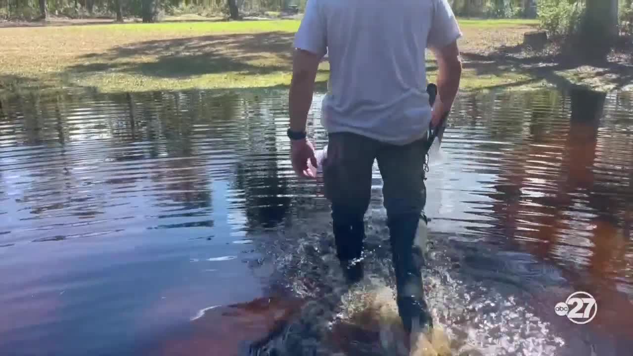 Poster image(1).jpeg