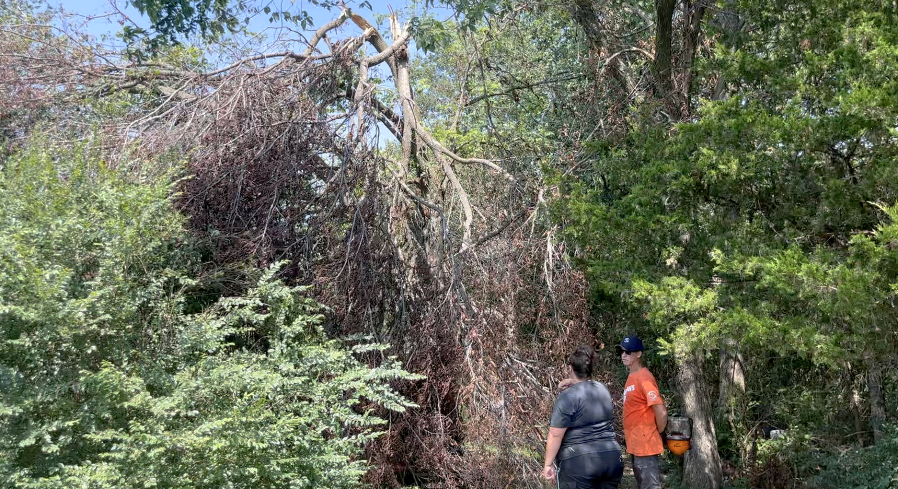 SAMARITANS PURSE.png