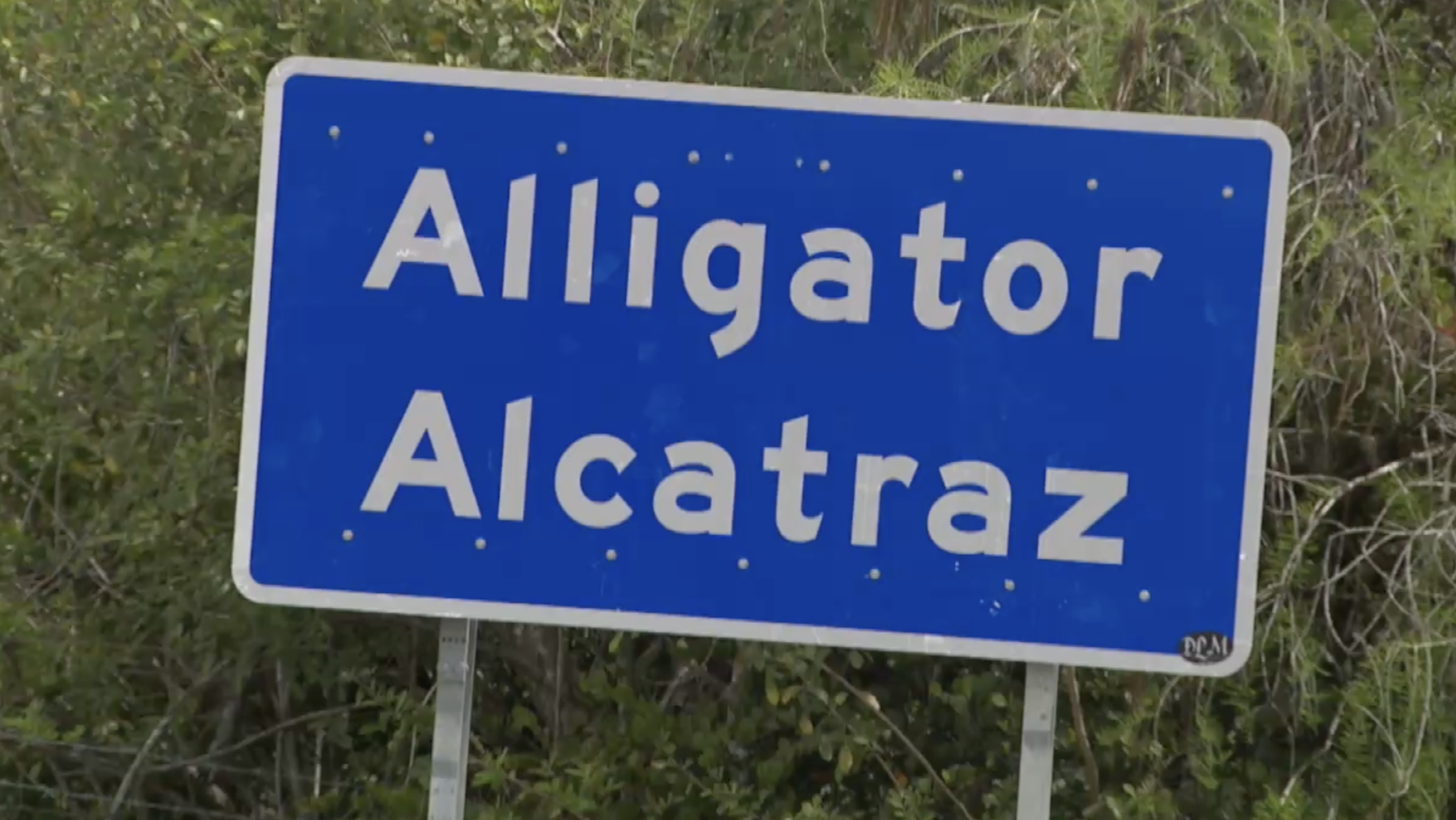 Alligator Alcatraz