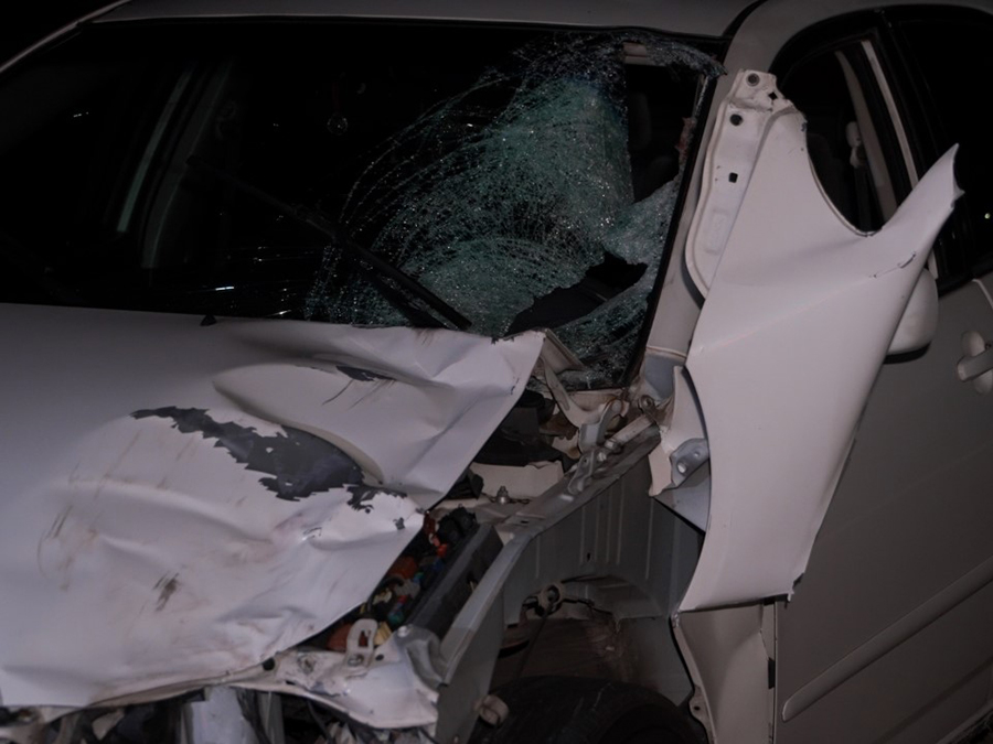 805_pedestrian_fatal_102121.jpg