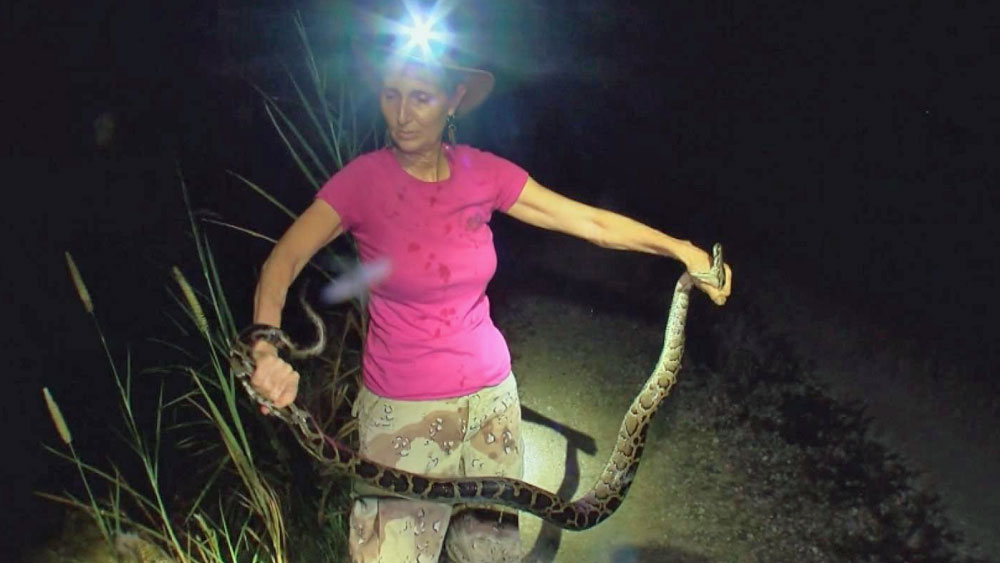WPTV-DONNA KALIL-.jpg