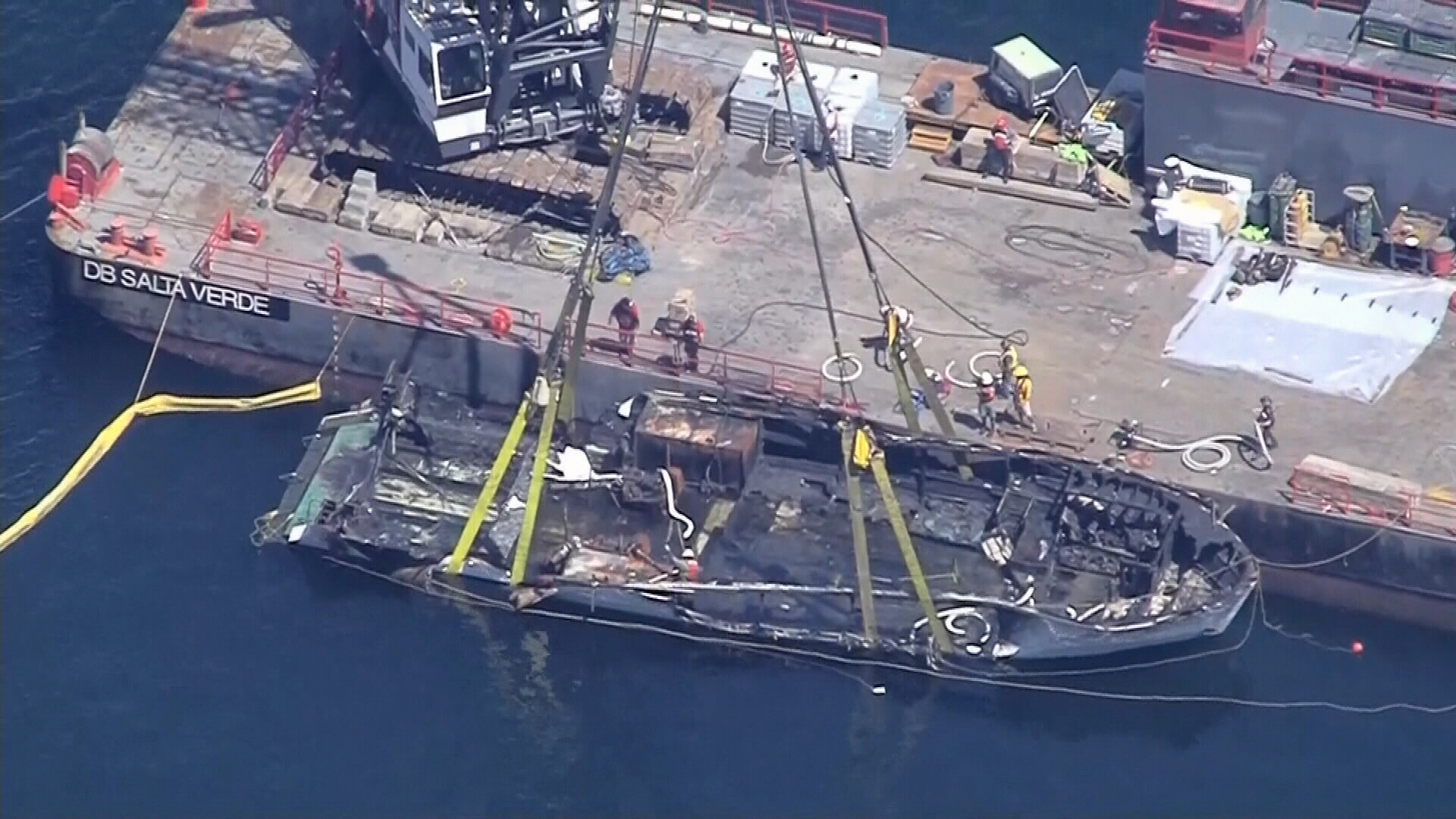 CONCEPTION SALVAGE.jpg