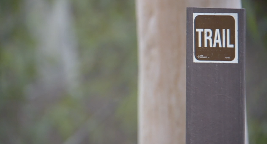 Screen Shot 2020-12-15 at 4.26.09 PM.png