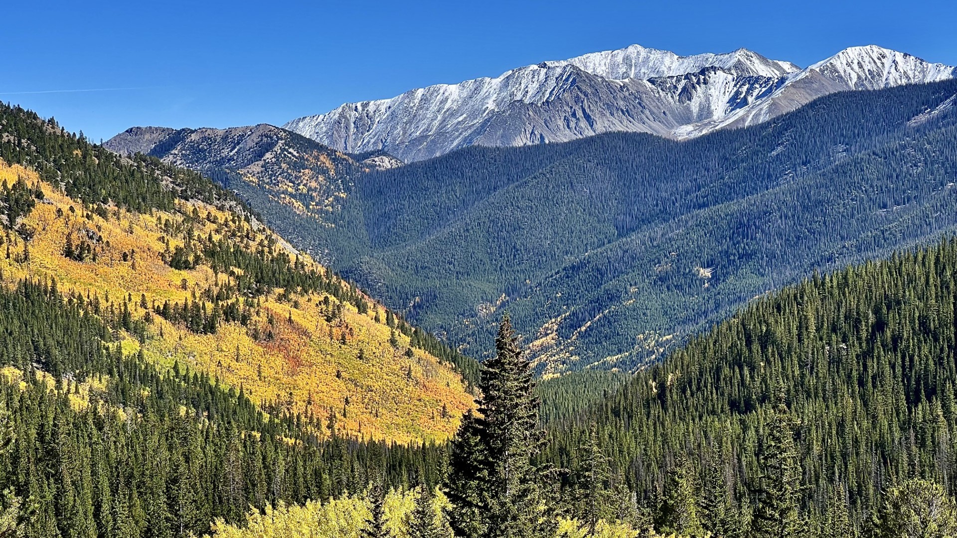 Near Buena Vi