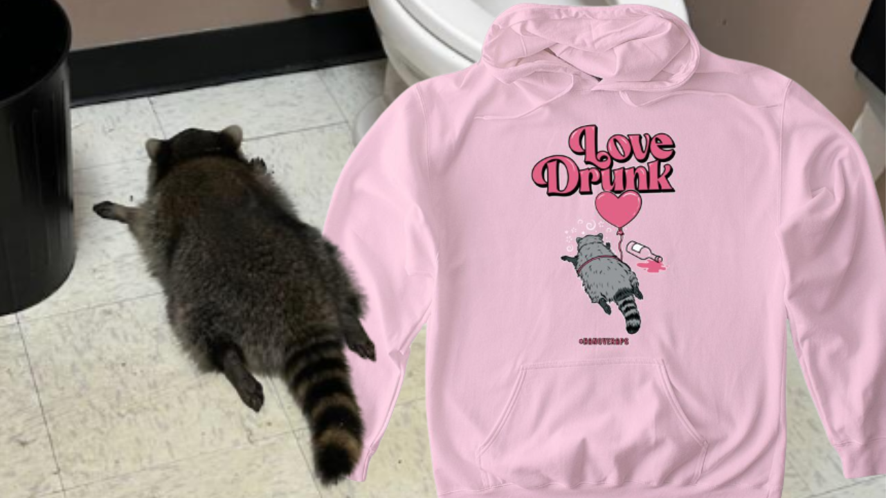 Scott THUMB Raccoon sweatshirt.png
