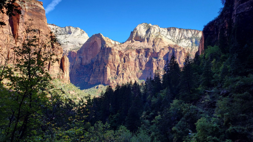 Zion Nato