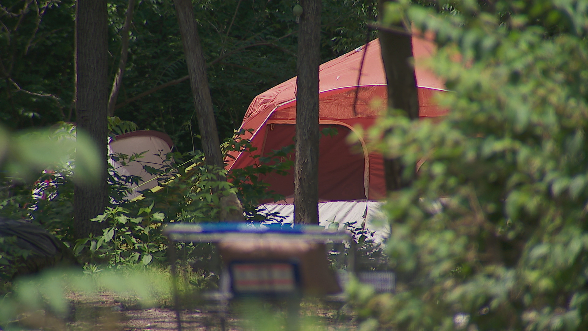 Hermitage residents concerned over homeless encampment