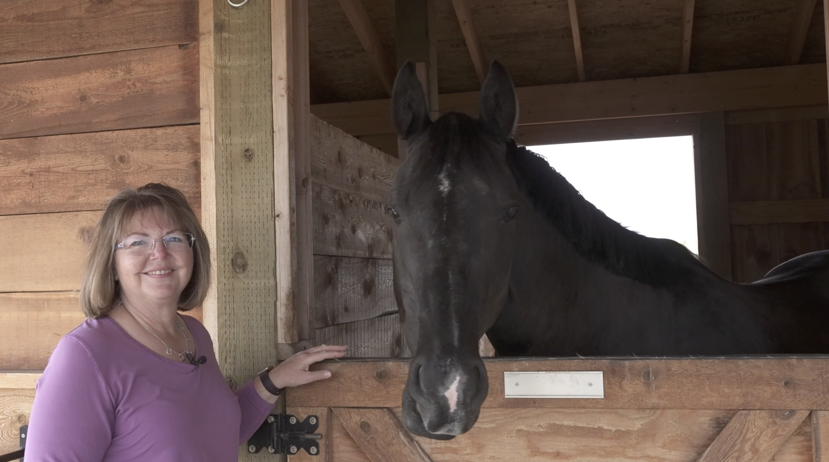 Paard Yard Horse Resort.png