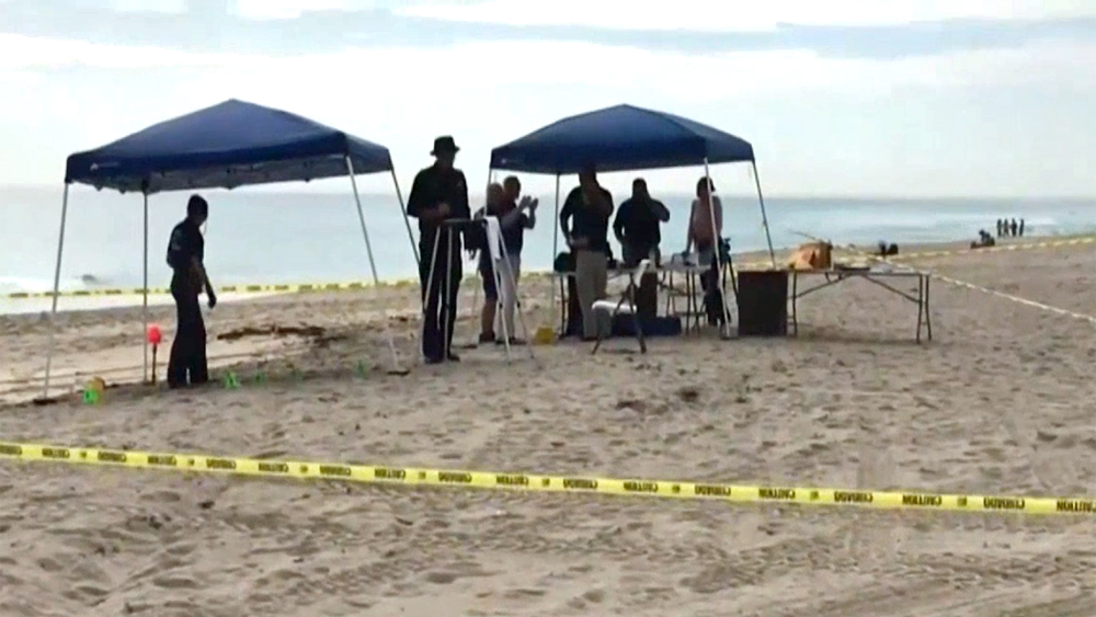 wtvj-body-found-hollywood-beach.jpg