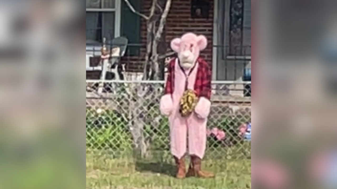 Person in pink bear costume spotted following kids in Virginia neighborhood