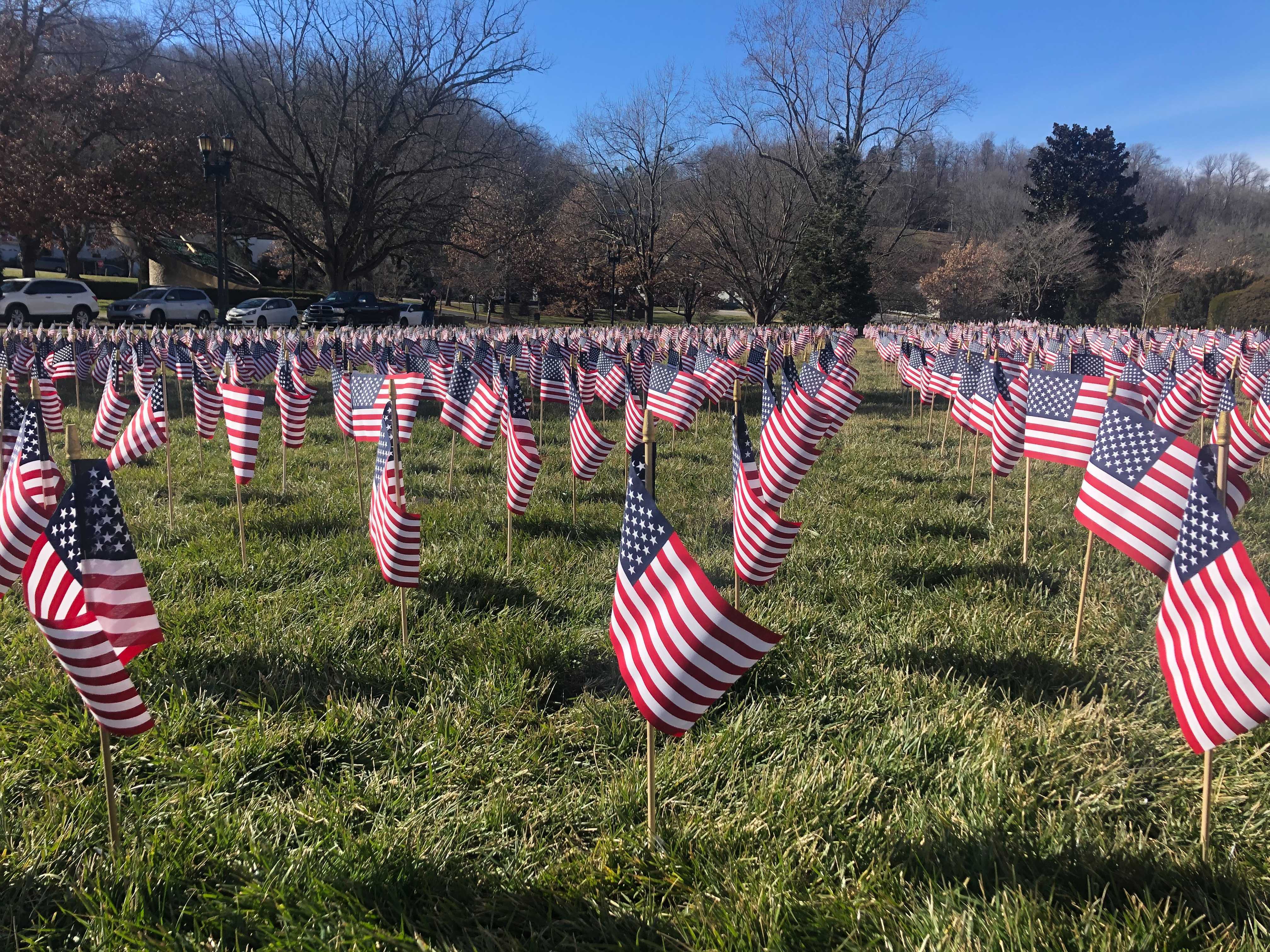 Flags at capitol.jpg