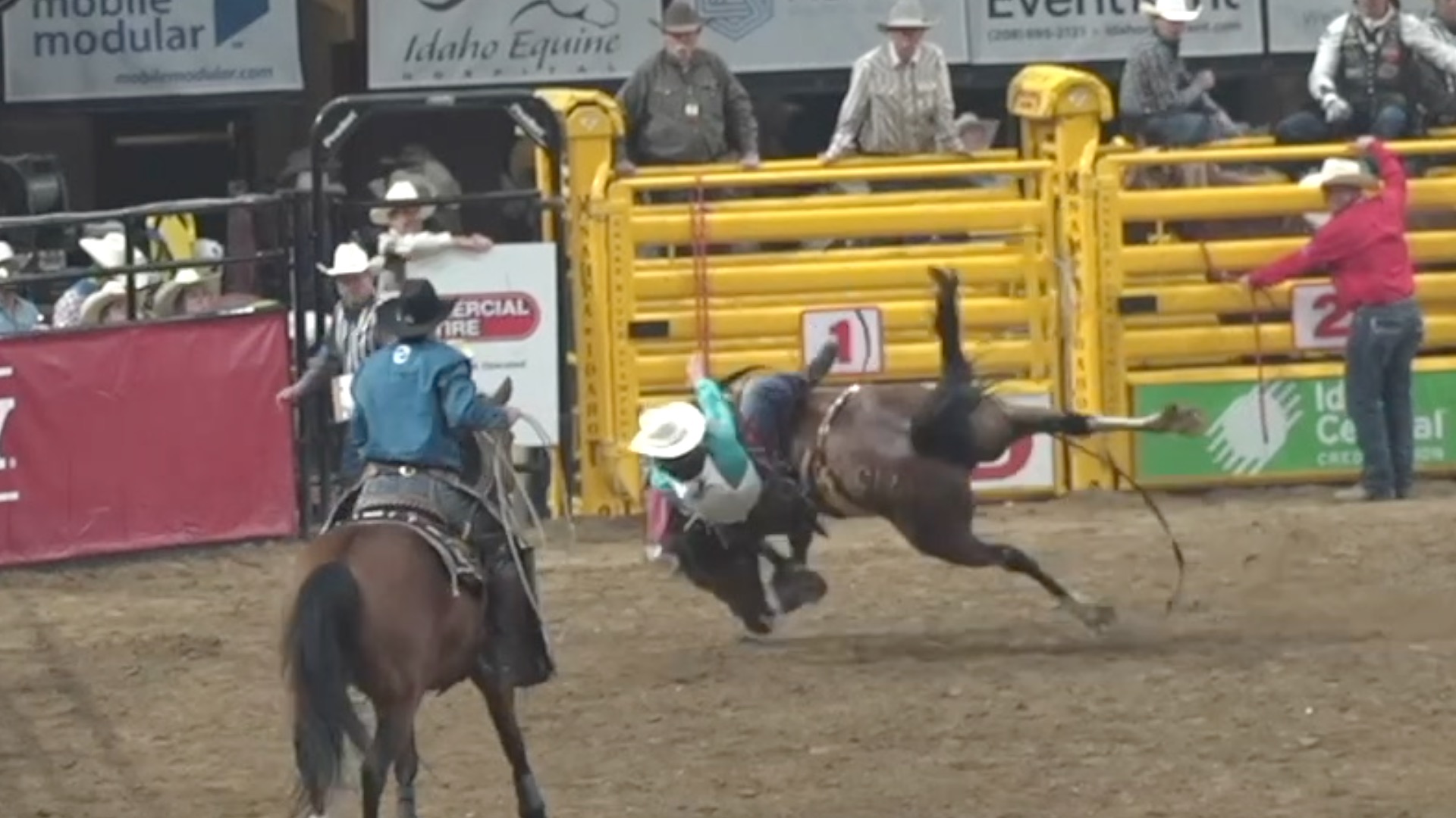 Horse Falls on Cowboy